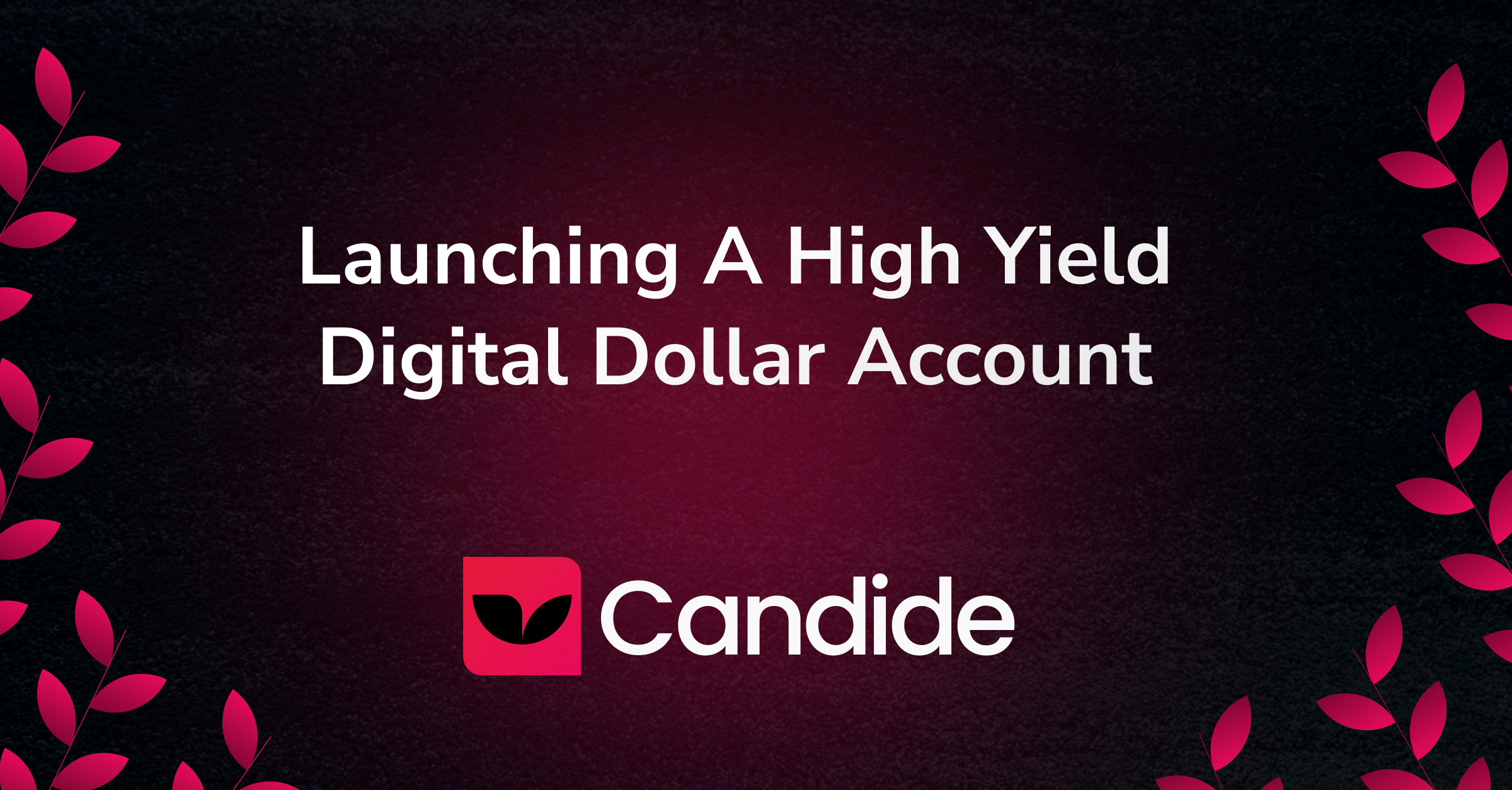 A Neobank's Playbook for Launching a High-Yield Digital Dollar Account