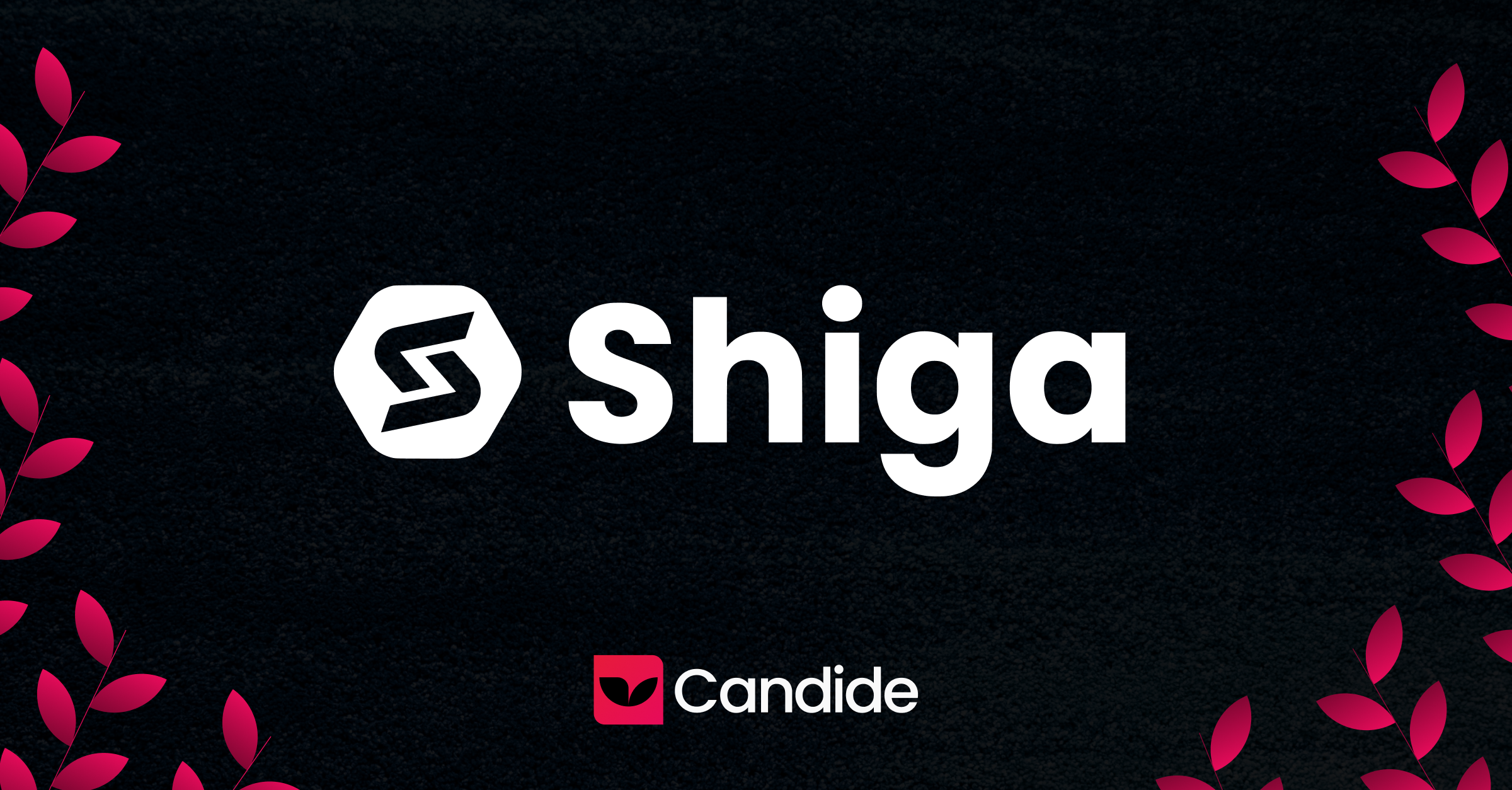 When Banking Doesn't Reach You, You Build Your Own