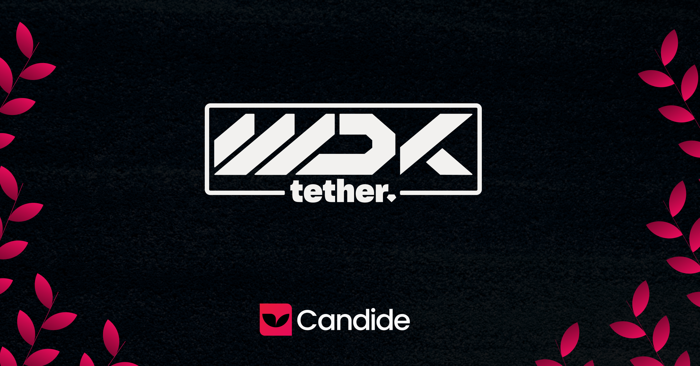 Under the Hood of Tether's WDK