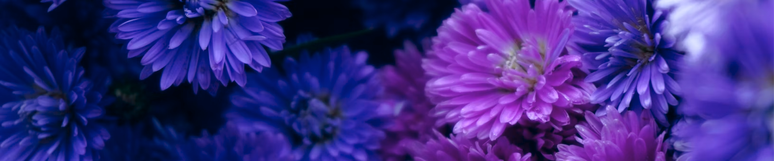 InstaGas brand colors