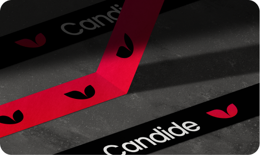 Candide brand collateral