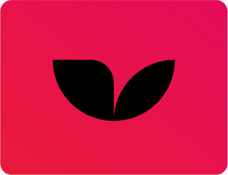 Candide presentation slide